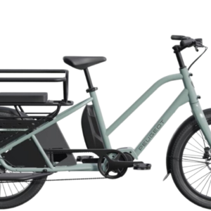 Peugeot E-longtail - M. Brillet - antivol de cadre