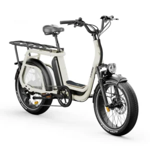 ELWING Ritmic Jumbo - Commande Mme Delcroix-Mounicq