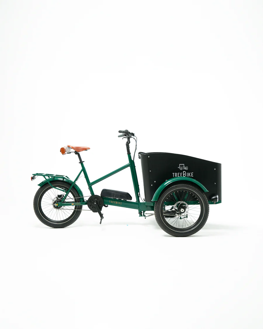 Vélo triporteur électrique TREEBIKE Family (caisse pour 2 kids) – Image 14