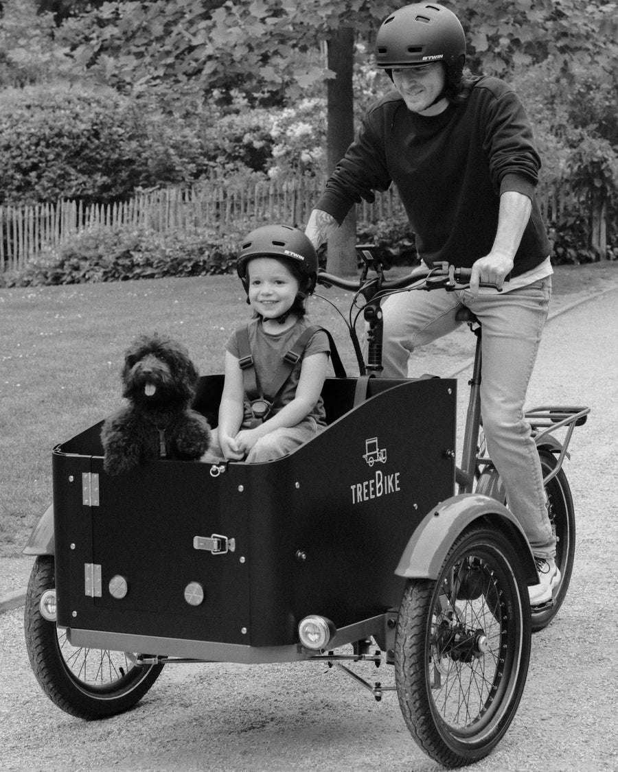 Vélo triporteur électrique TREEBIKE Family (caisse pour 2 kids) – Image 8