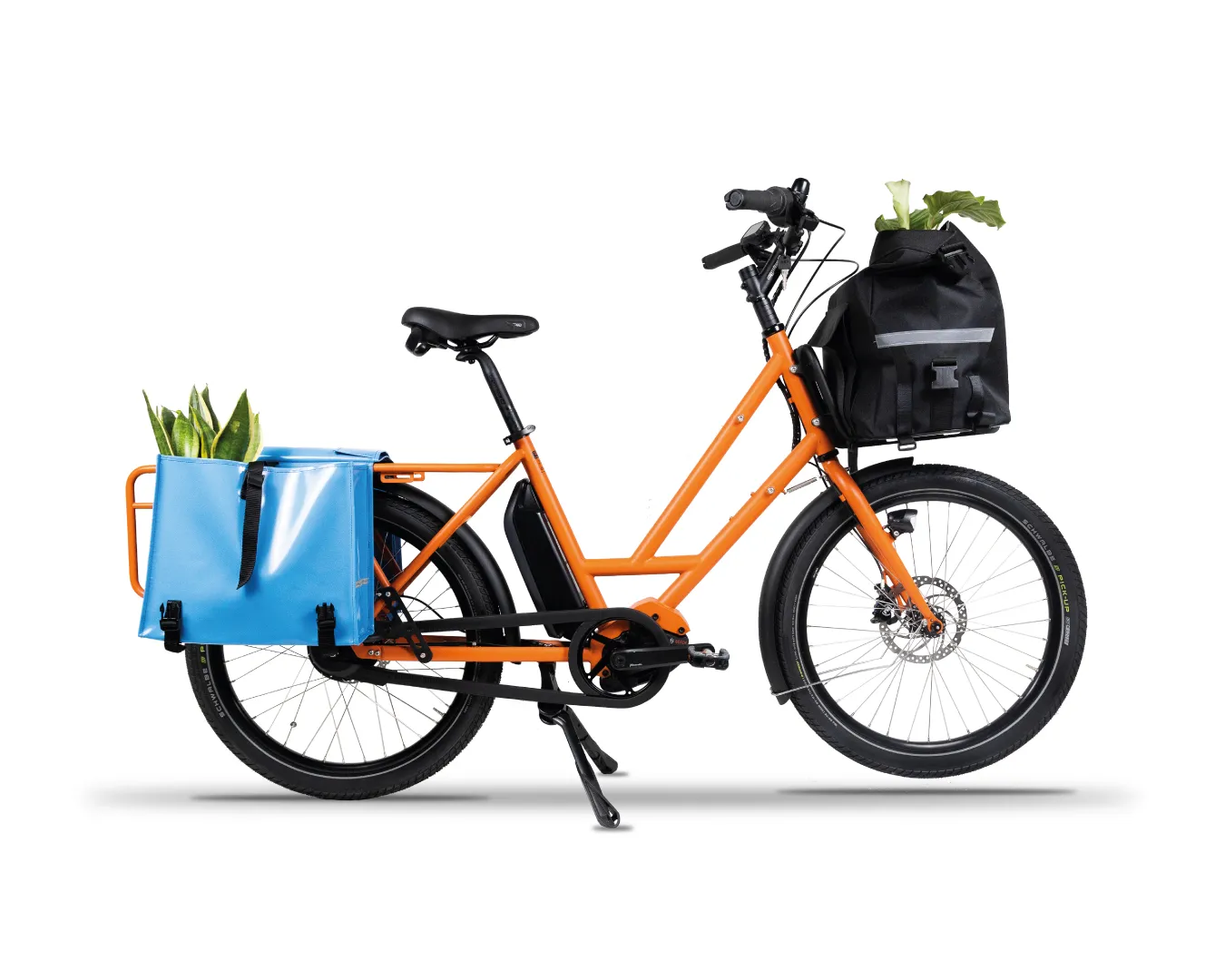 Vélo midtail électrique VELOE Multi Bosch Cargoline – Image 6